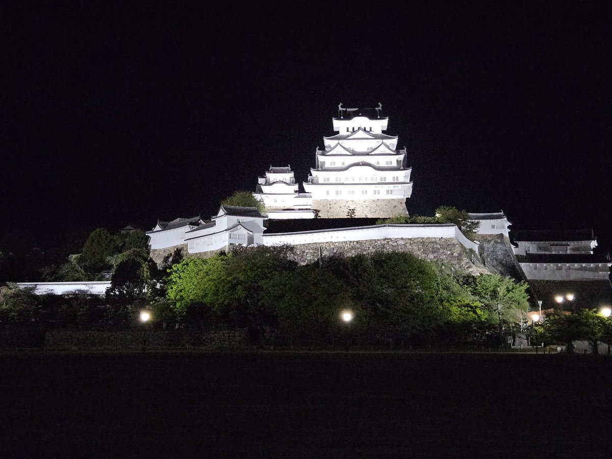 ぽちこ tweet media