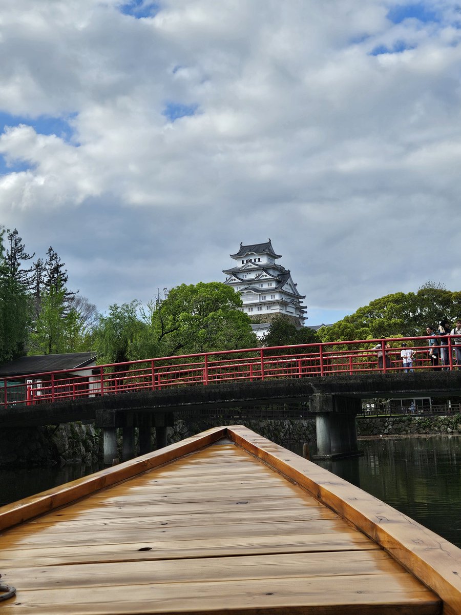 ぽちこ tweet media