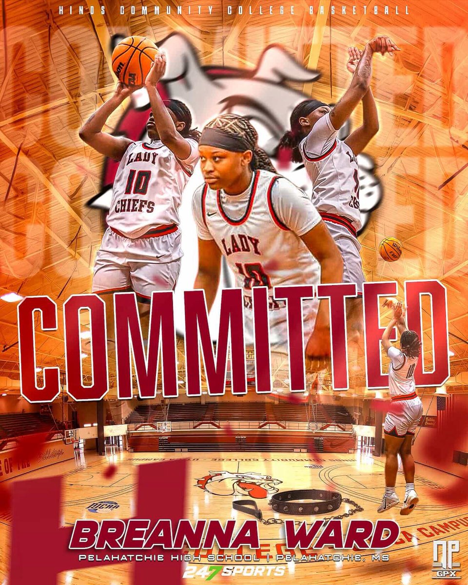 BreannaWard2026 tweet media