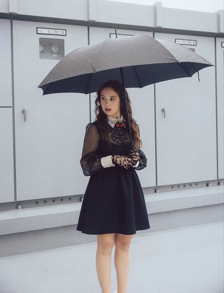 daily laufey tweet media