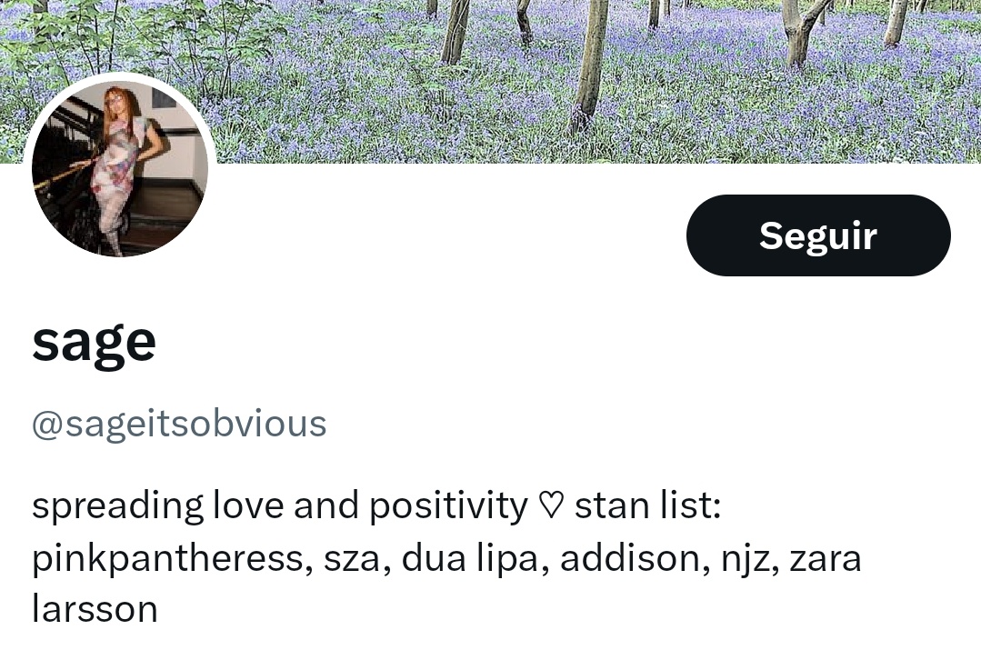 inés • is seeing ariana 01/09 ✨️ tweet media