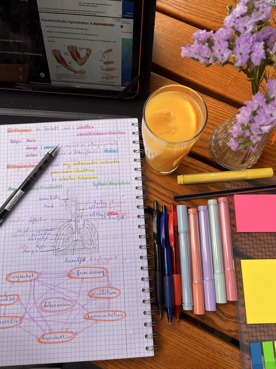 Tata Sofia 🇲🇦🇩🇪 tweet media