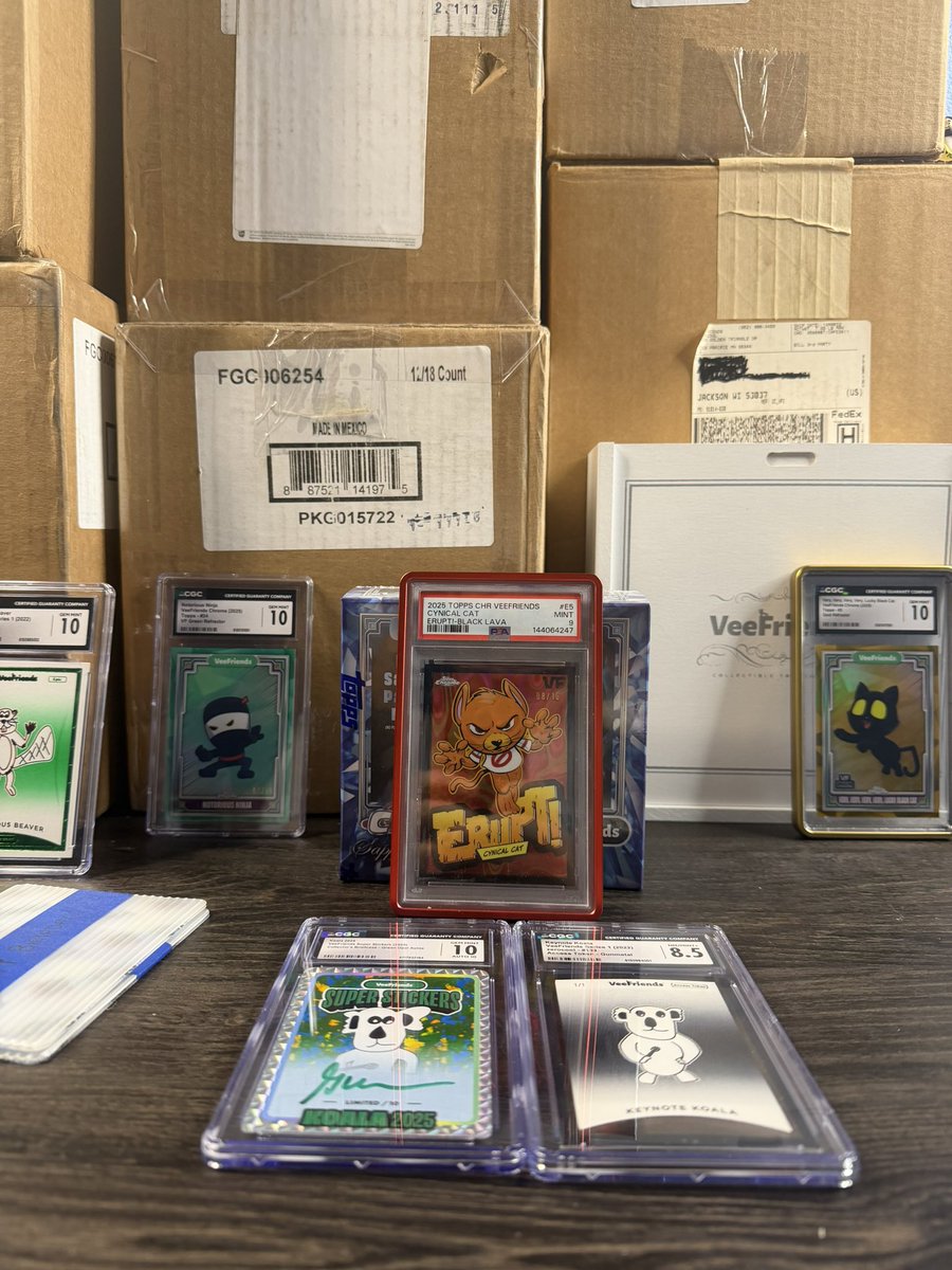 LorcanaMama's tweet image. Three Massive @veefriends breaks live right now:

One full sealed case of ZeroCool Series 1 (PYC)

Eleven Cases of Topps Chrome (PYC)

One Box of Sapphire Box ($75 Random Character) 

Is this the biggest #Veefriends Show of All Time?
