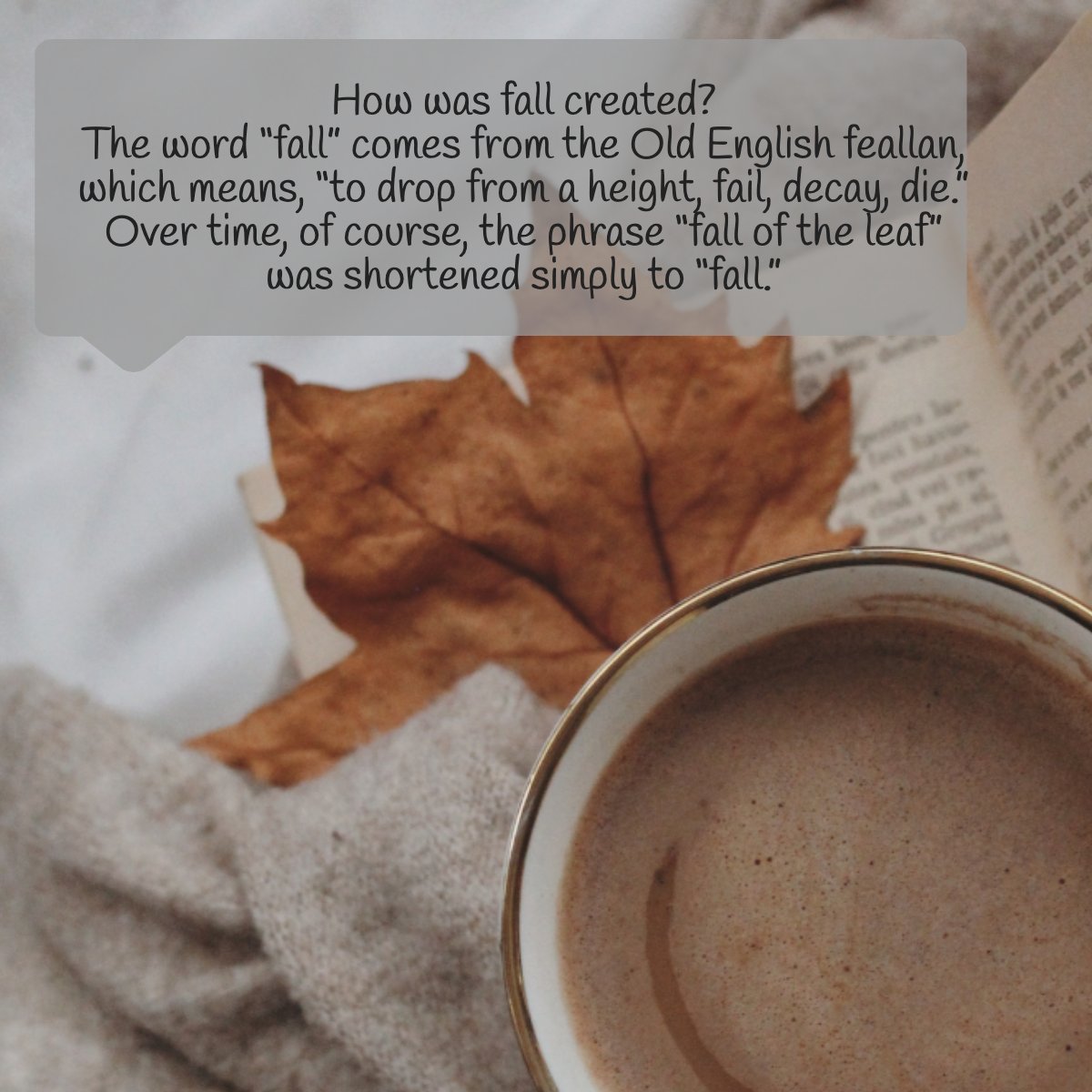 heidilionetti's tweet image. Ever wondered where the name 'Fall' comes from? 🍂

#Fall #FallSeason #FallVibes