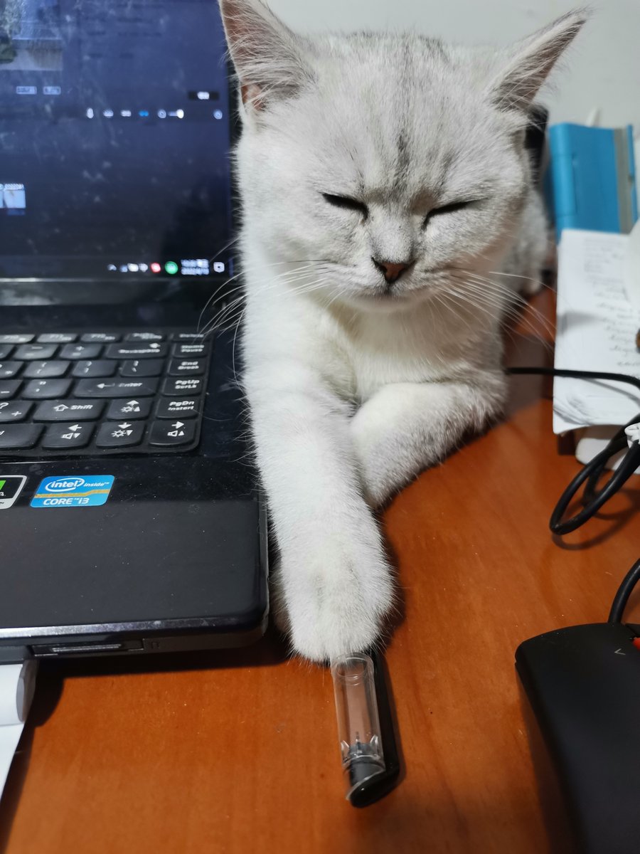 Alexandre Illien tweet media