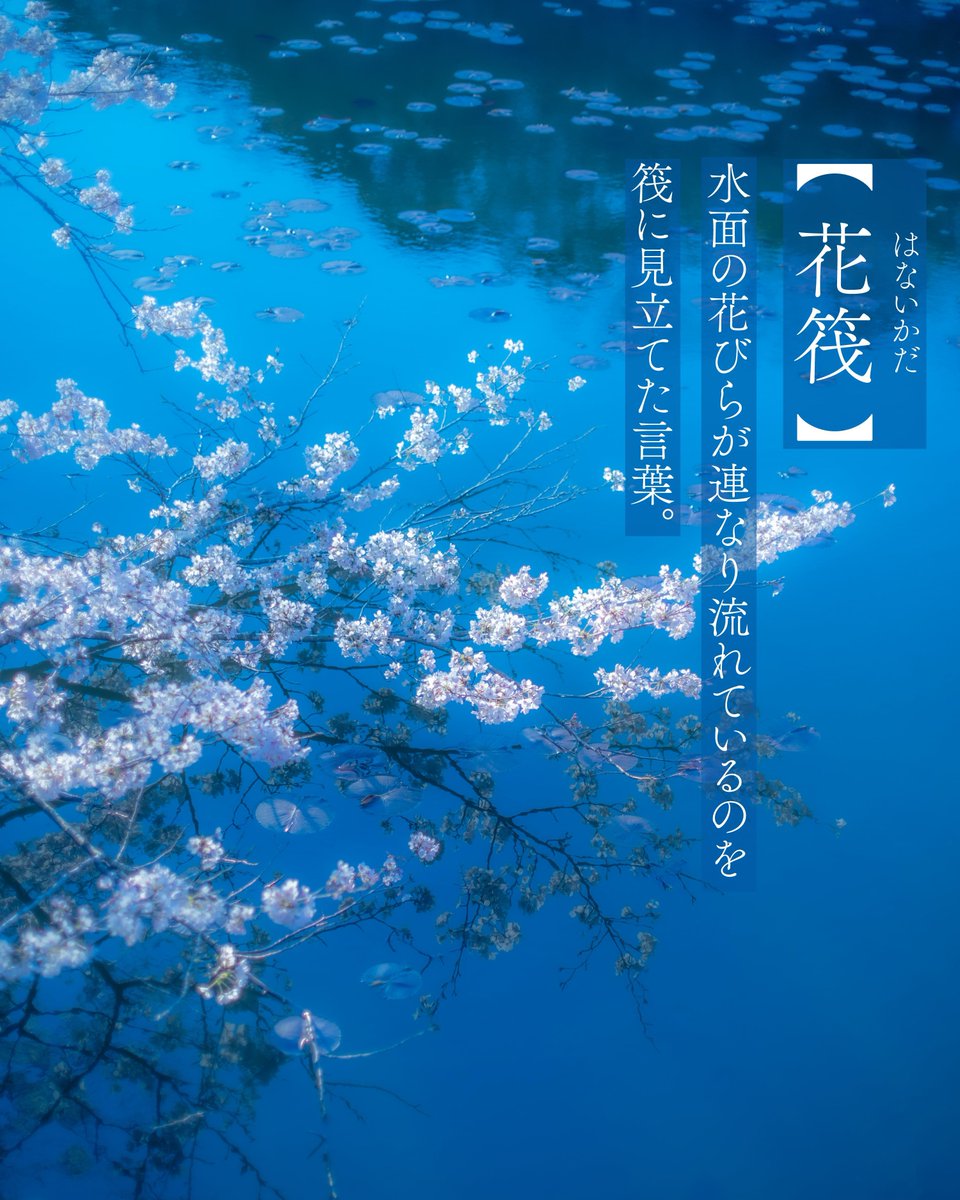浅夏レイ -言の葉収集家- tweet media