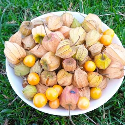 THAT BOY FROM ZOMBO tweet media