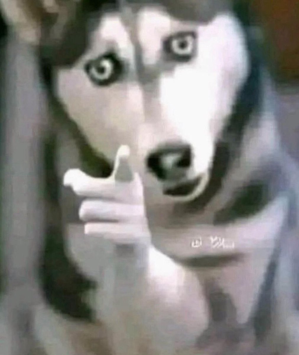 Maître Sims Rmh à 88%🐦 🐧🐦‍⬛ tweet media