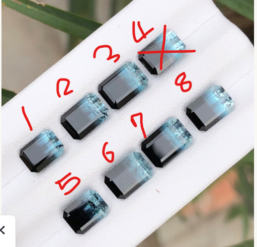 #원석마켓
투어멀린 분철, 이익을 취하지 않기 때문에 잠시 이쪽에도 올려봅니다. 현재 5,6 만 남아있어요! 한 알까지는 부담할 수 있지만 두 알은 제 밥값이 아슬아슬한지라... 한 알이라도 데려가실 분을 모십니다. 3.7이에요!