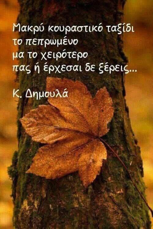 Dimitris Aloukos tweet media