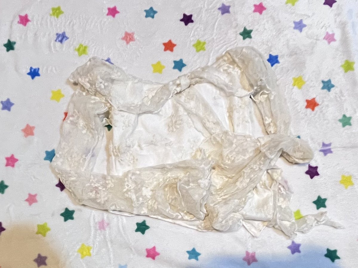 🐈🌸 tweet media