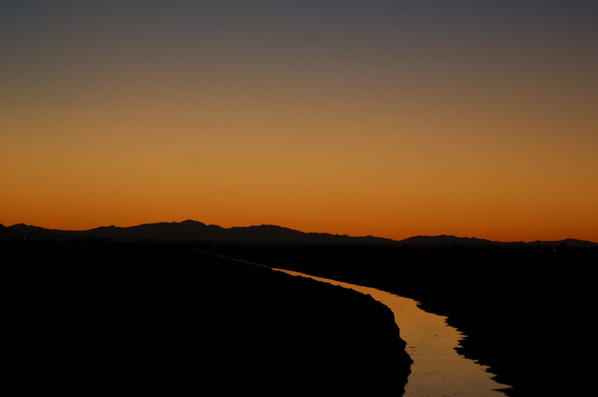 Chris Shaw tweet media