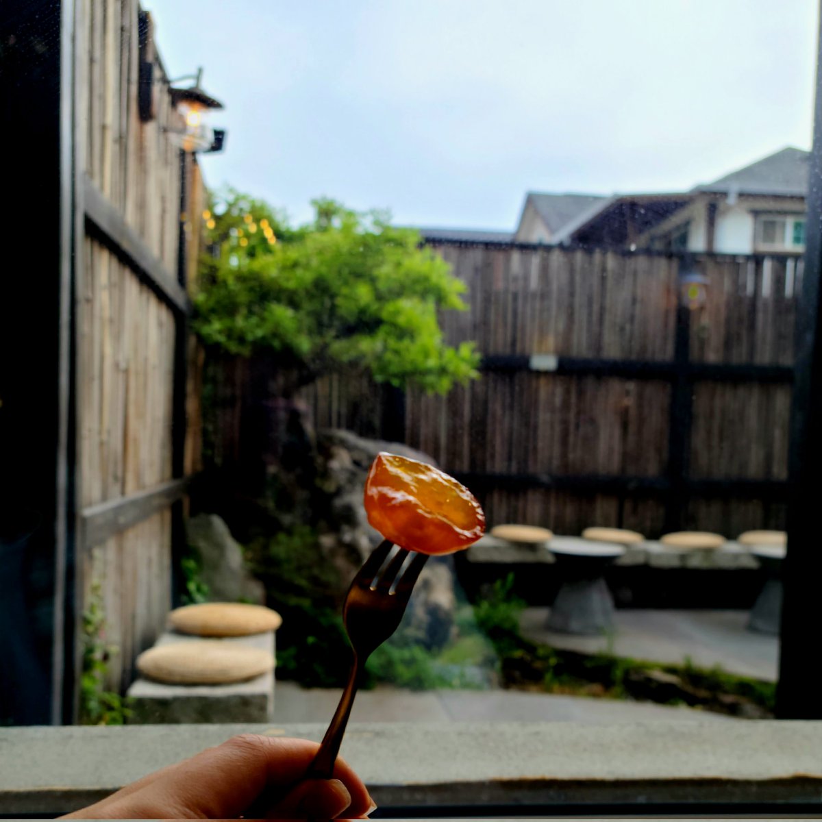 타니타니 tweet media