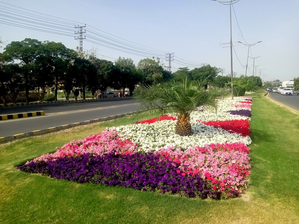 PhaLhr's tweet image. سدرن بائی پاس کی گرین بیلٹ پر بہار کے رنگ 🌸
ہر طرف کھلے پھول، ہر منظر دلکش ✨
یہ خوبصورتی ہے ہمارے پیارے لاہور کی، 
پی ایچ اے لاہور  مزید نکھارنے میں مصروف ہے۔

#SpringVibes #LahoreBeauty #FlowerCity #GreenLahore