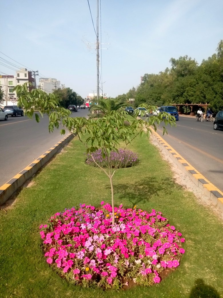 PhaLhr's tweet image. سدرن بائی پاس کی گرین بیلٹ پر بہار کے رنگ 🌸
ہر طرف کھلے پھول، ہر منظر دلکش ✨
یہ خوبصورتی ہے ہمارے پیارے لاہور کی، 
پی ایچ اے لاہور  مزید نکھارنے میں مصروف ہے۔

#SpringVibes #LahoreBeauty #FlowerCity #GreenLahore
