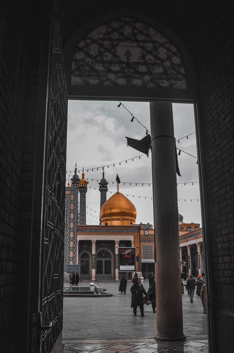 Fatima Zahra tweet media