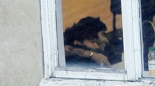 payno ❯❯❯❯❯ tweet media