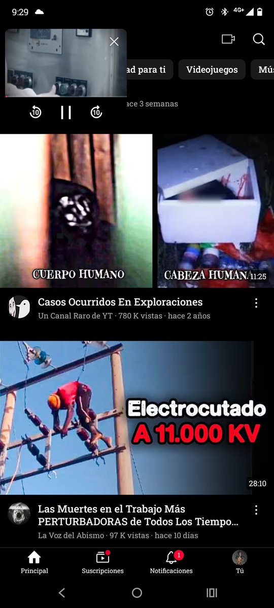 Parody°•✮•𝐊𝐎𝐑𝐑𝐀 (💖 rolplay) tweet media