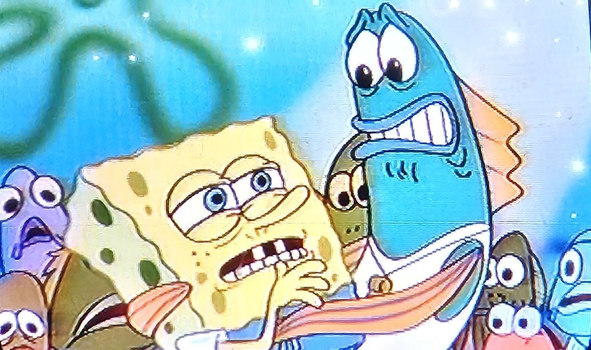 🪻Noot tweet media