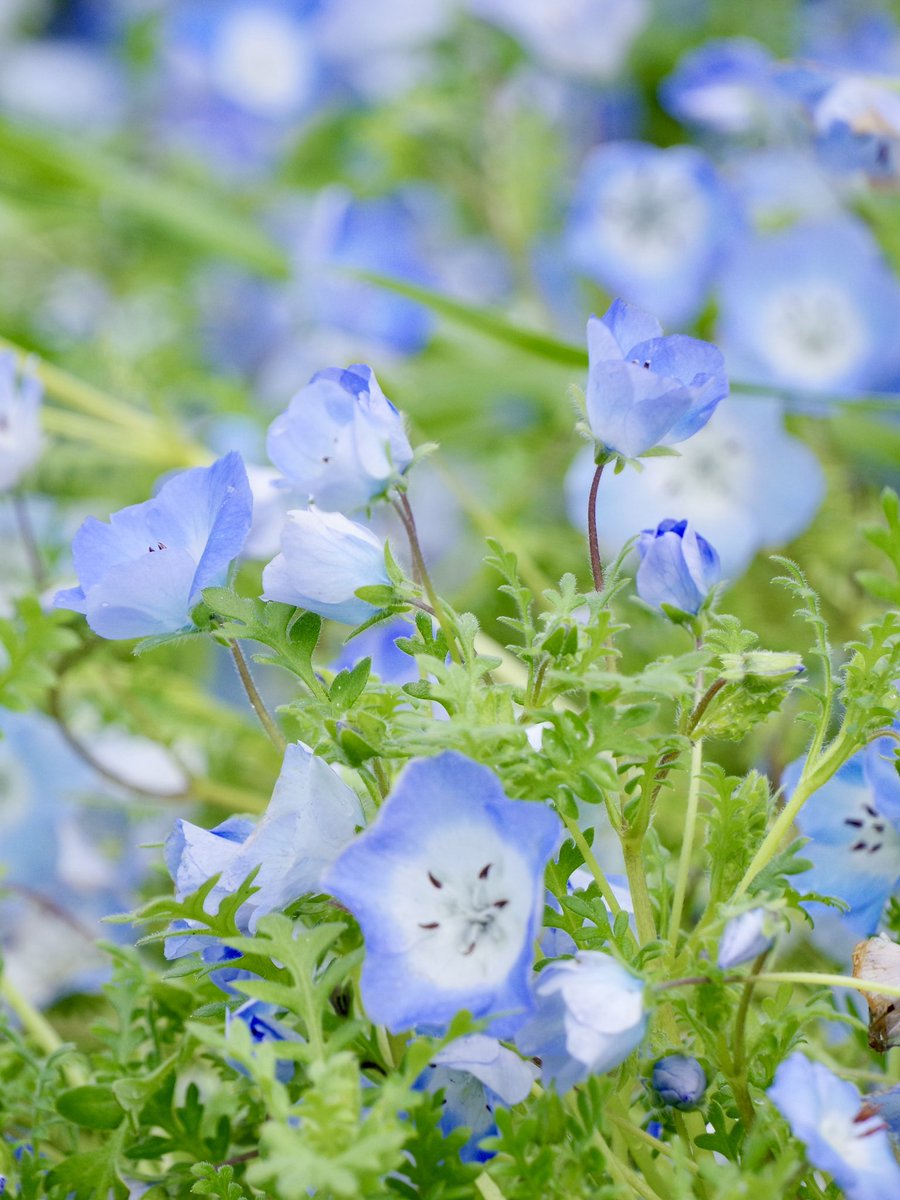 ゆう🐯 tweet media