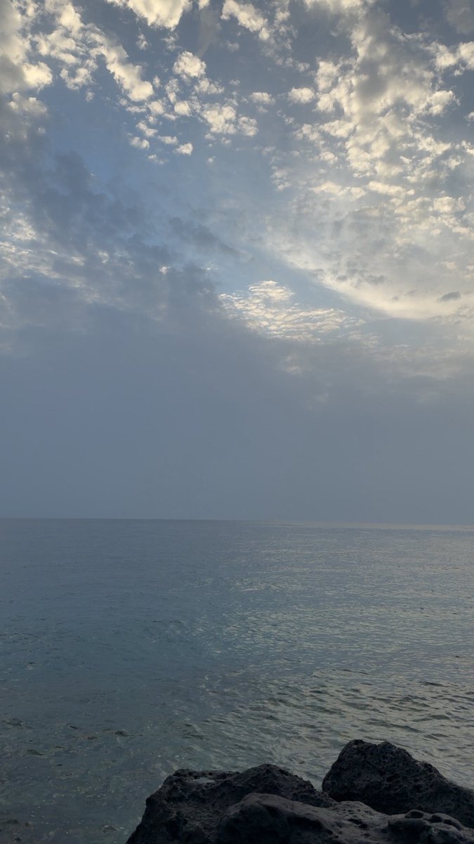 عبدالرحمن 🤍 tweet media