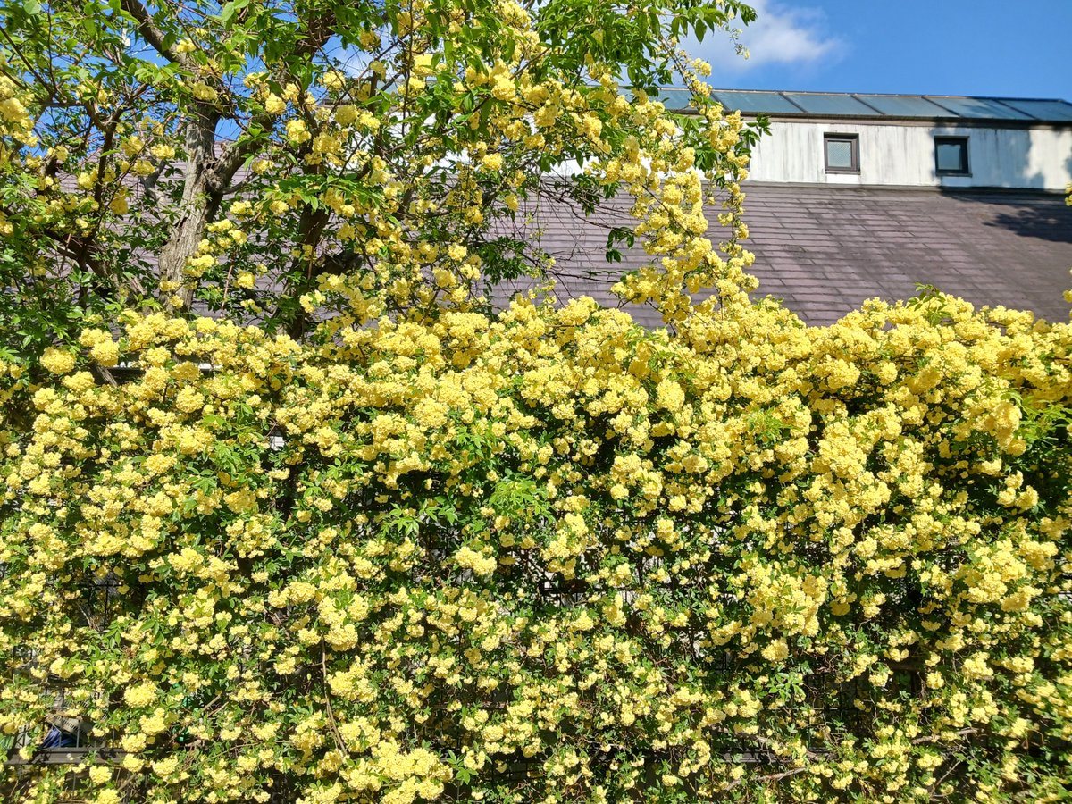 #戦争反対 #NoWar 
#NoWarinUkraine 
#FreePalestine #StopGenocideInGaza 
#StopIsrael #StopTrump #高市辞めろ