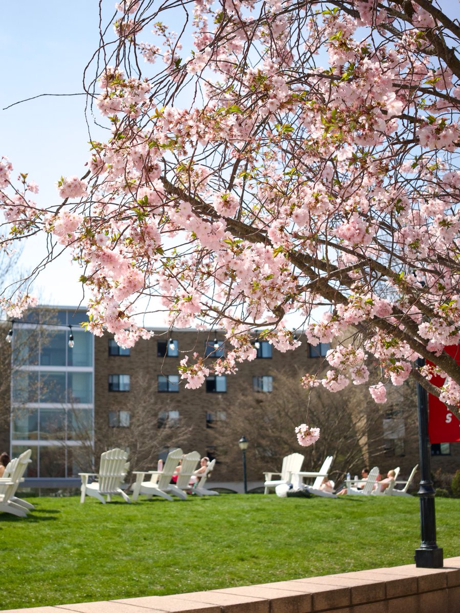 Fairfield University 🦌 tweet media