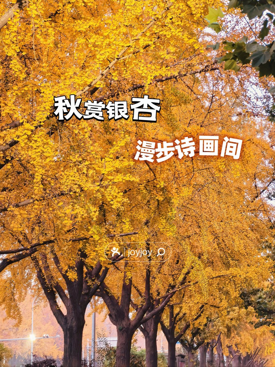 Charlotte LP tweet media