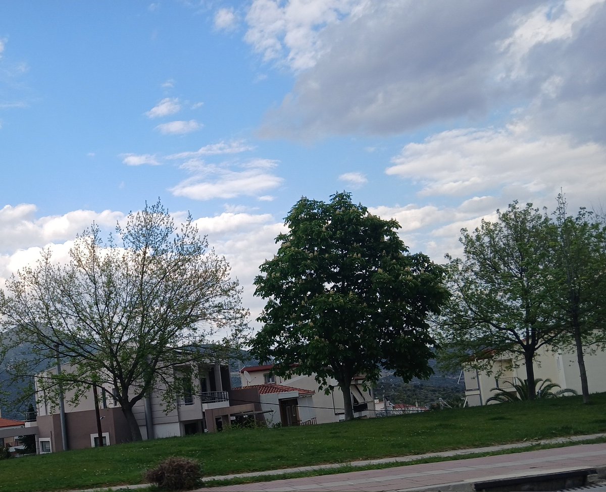 Φευ 🐛 tweet media