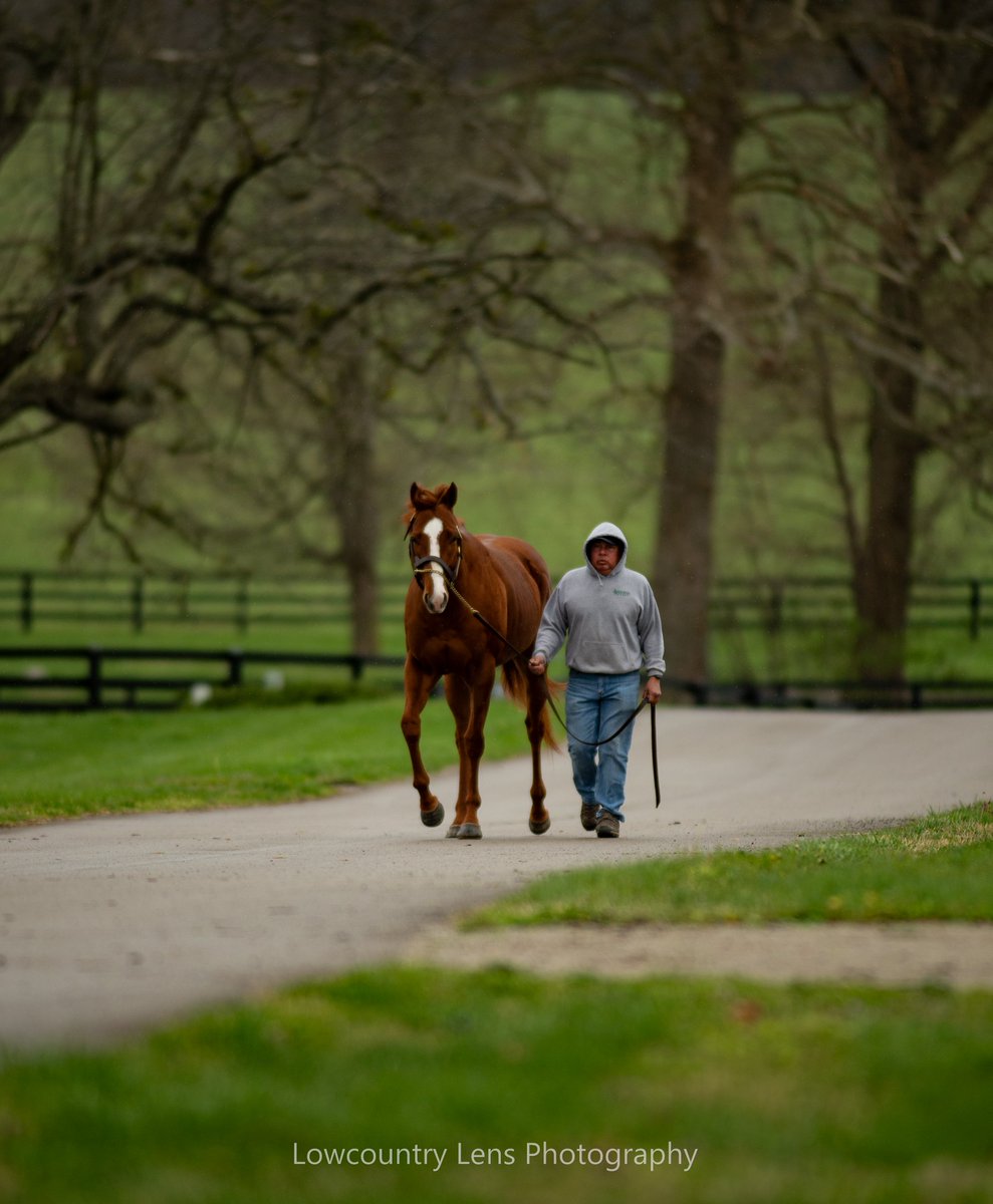 Carson Blevins tweet media