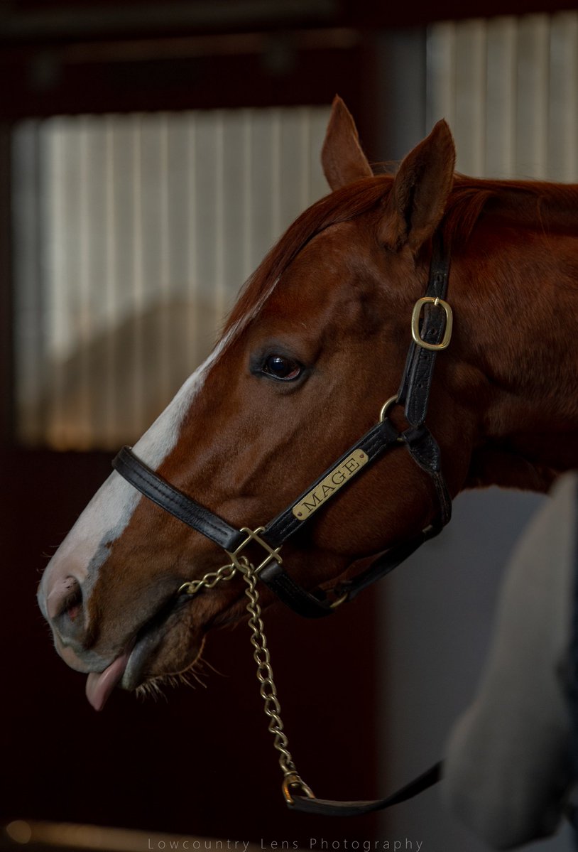 Carson Blevins tweet media