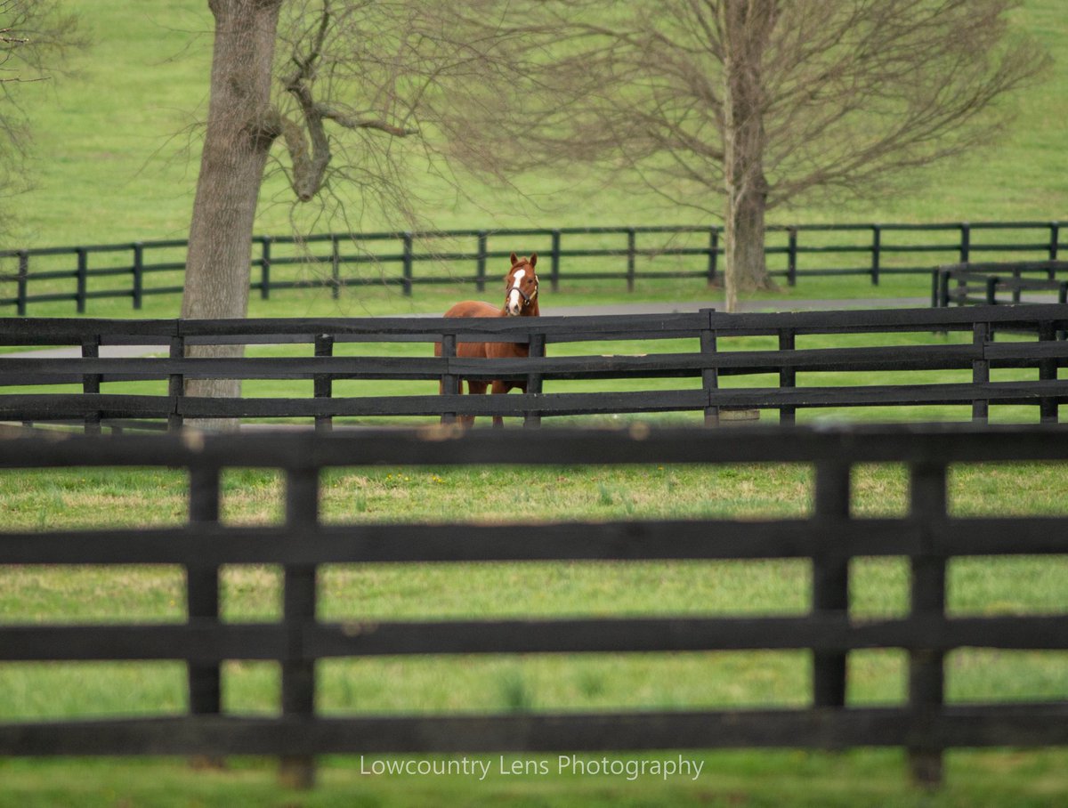 Carson Blevins tweet media