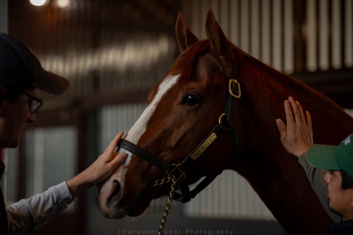 Carson Blevins tweet media