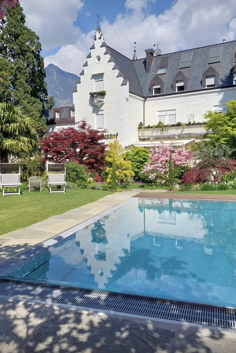 daniela verrua tweet media