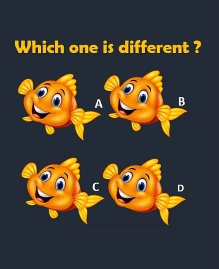 WG UPDATES tweet media