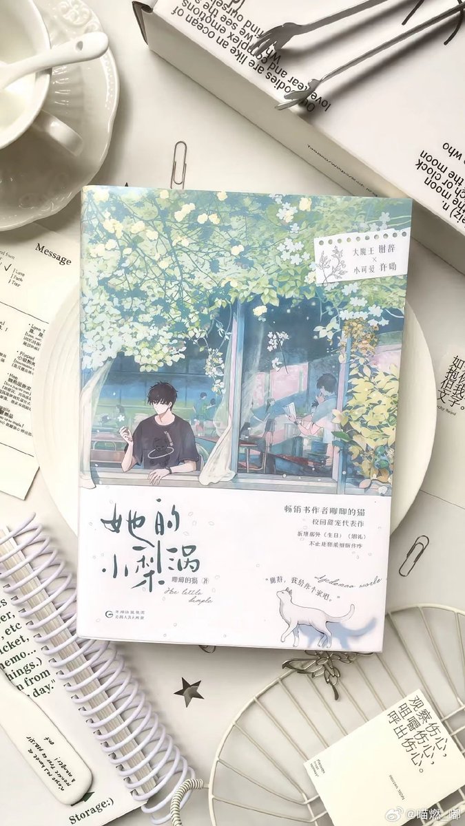 kaley ciraulo tweet media