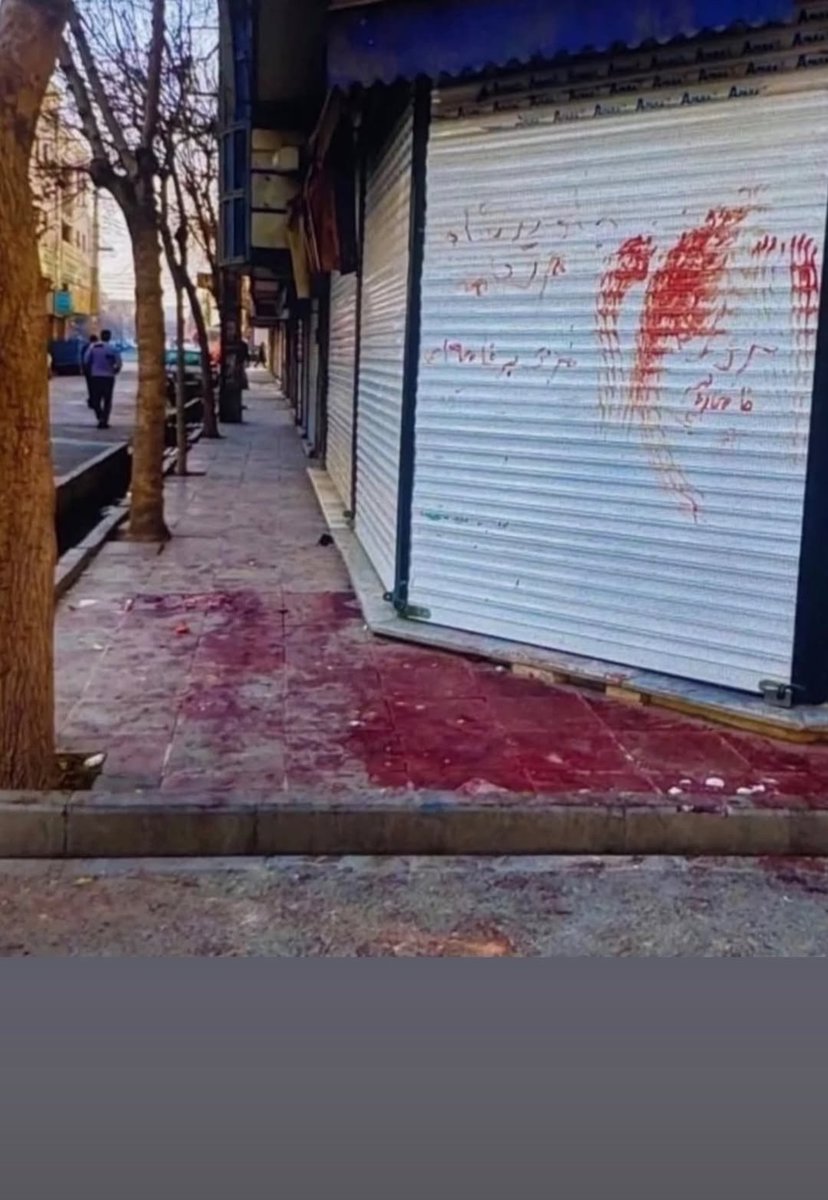 Butterfly tweet media