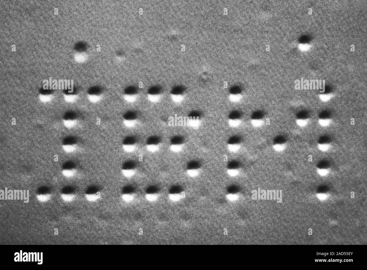 Dave W Plummer tweet media