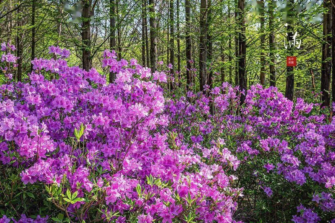 Arlene Goode tweet media