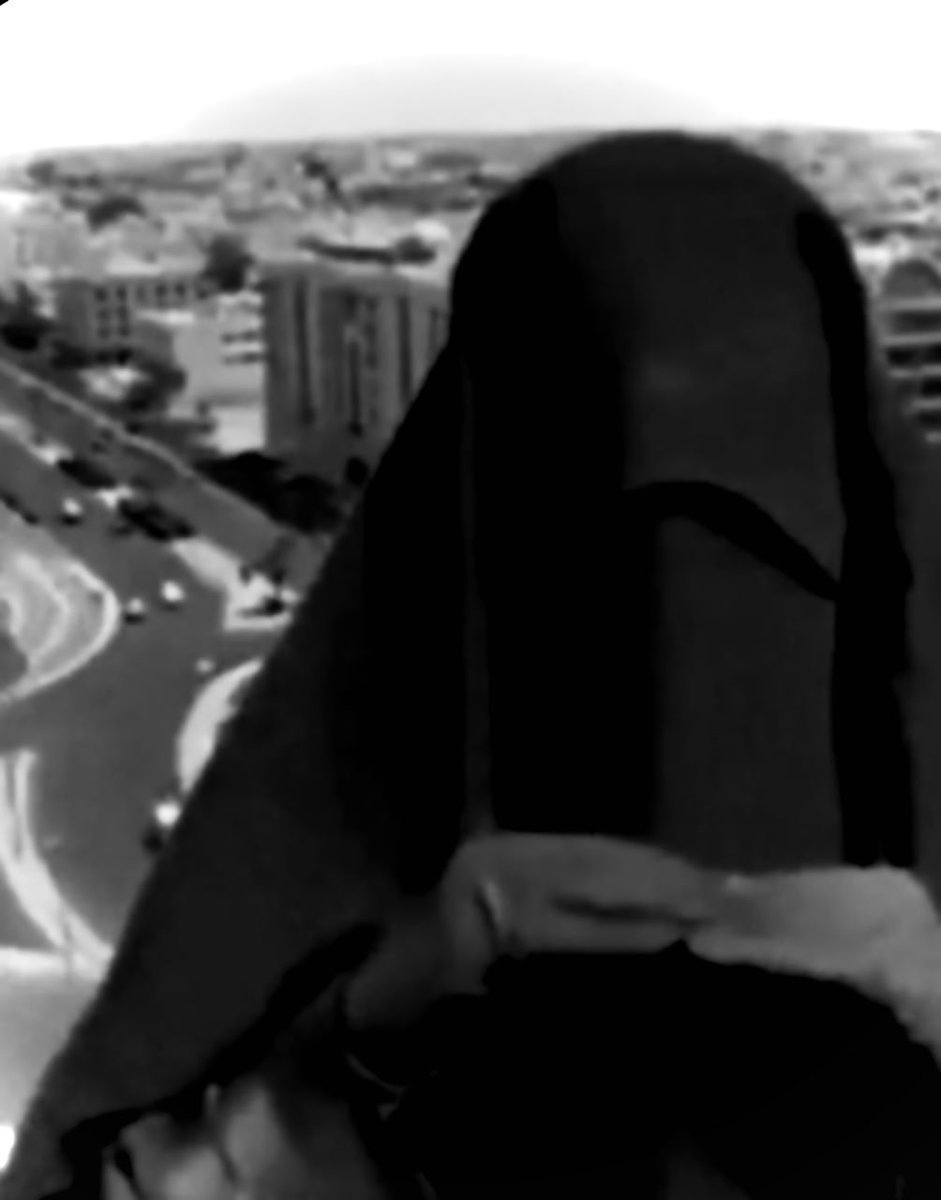 Q ™️ tweet media