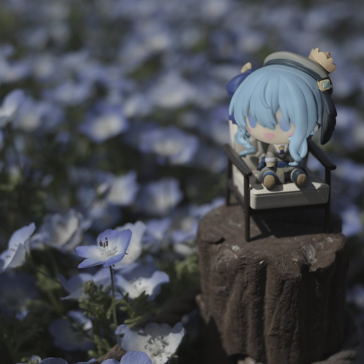 kyomokwii's tweet photo. 今日もかわいい
#星街すいせい #ほしまちぎゃらりー https://t.co/uG87qUZo3x
