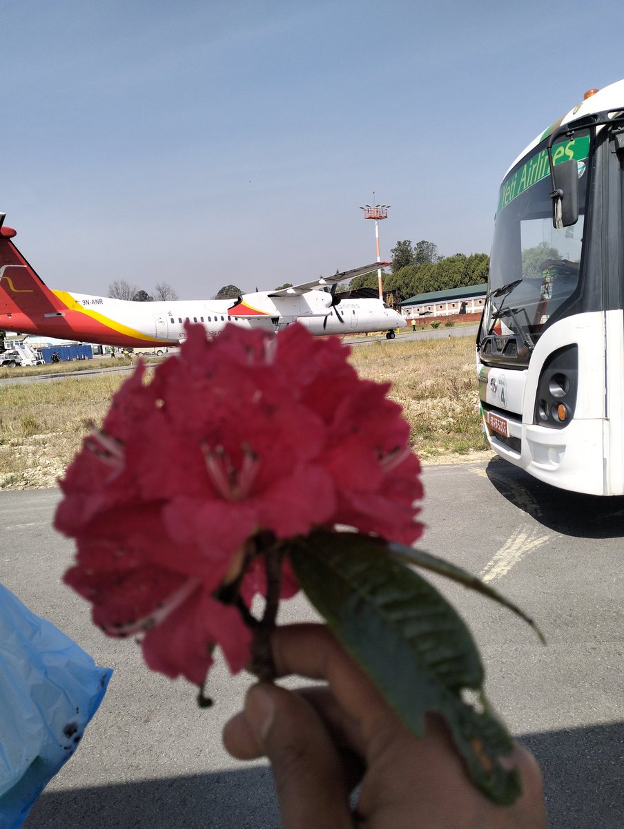 Ramesh Dahal tweet media