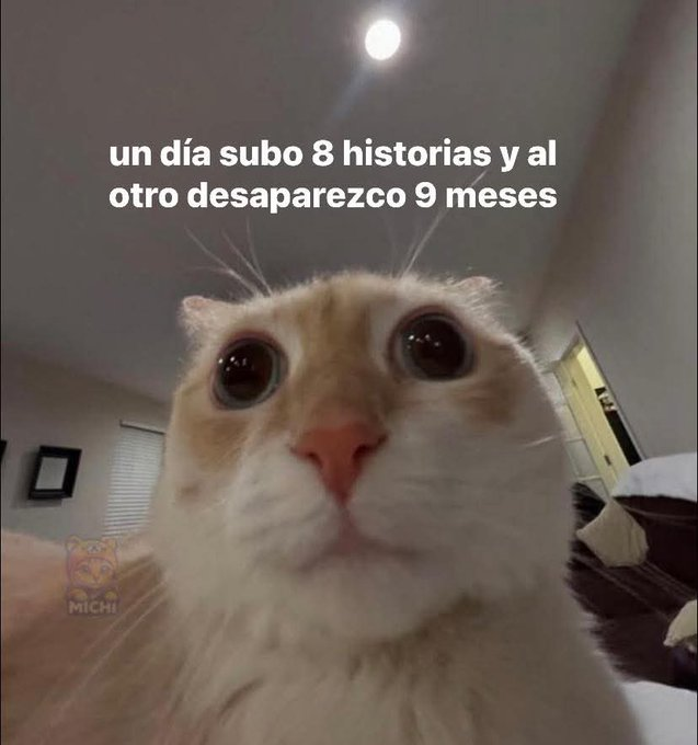 navarro tweet media