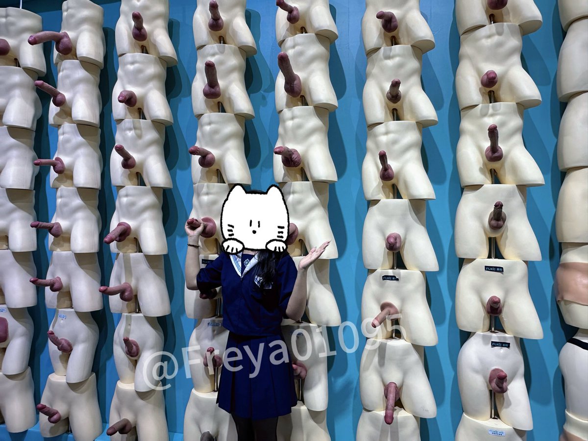 Freya🐱 tweet media