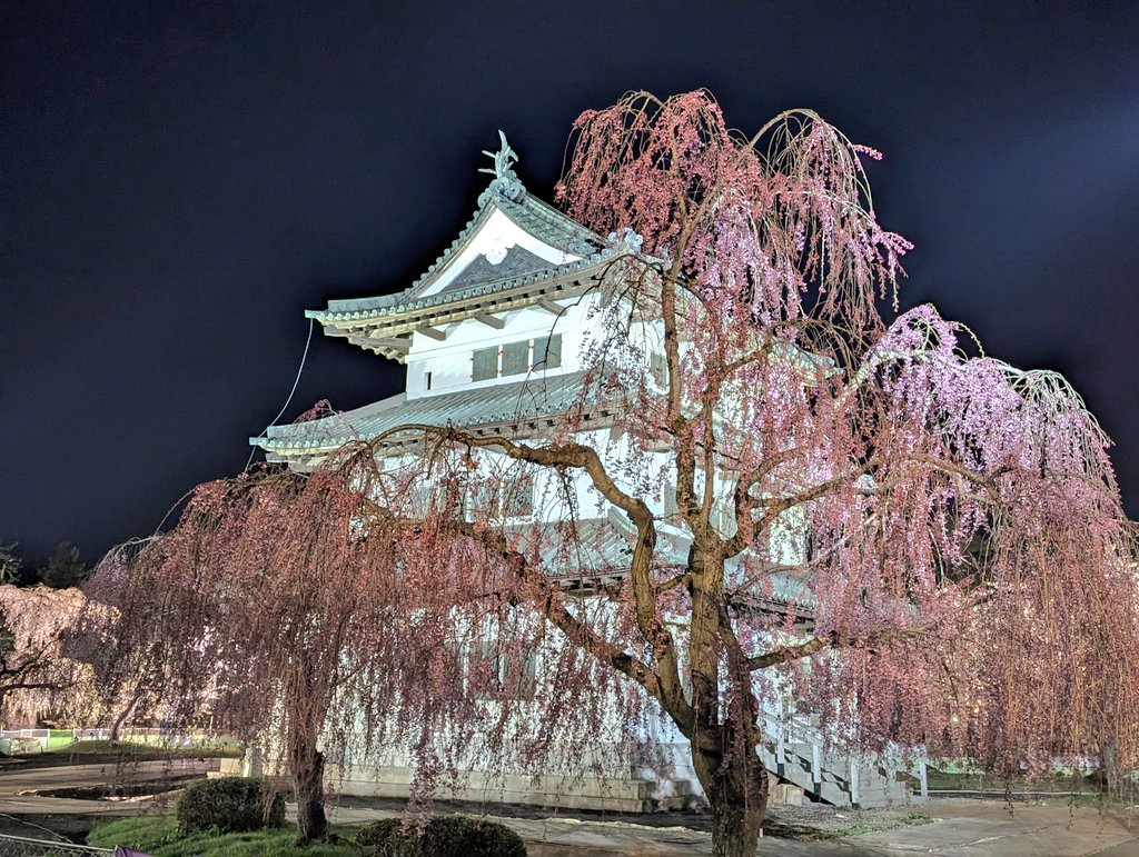 しまざき tweet media