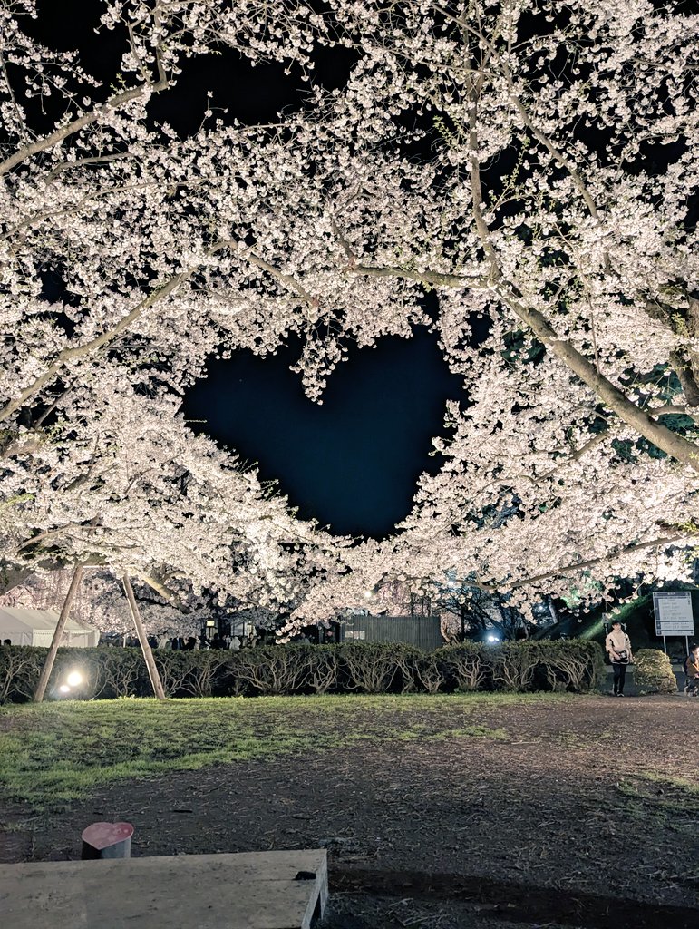 しまざき tweet media