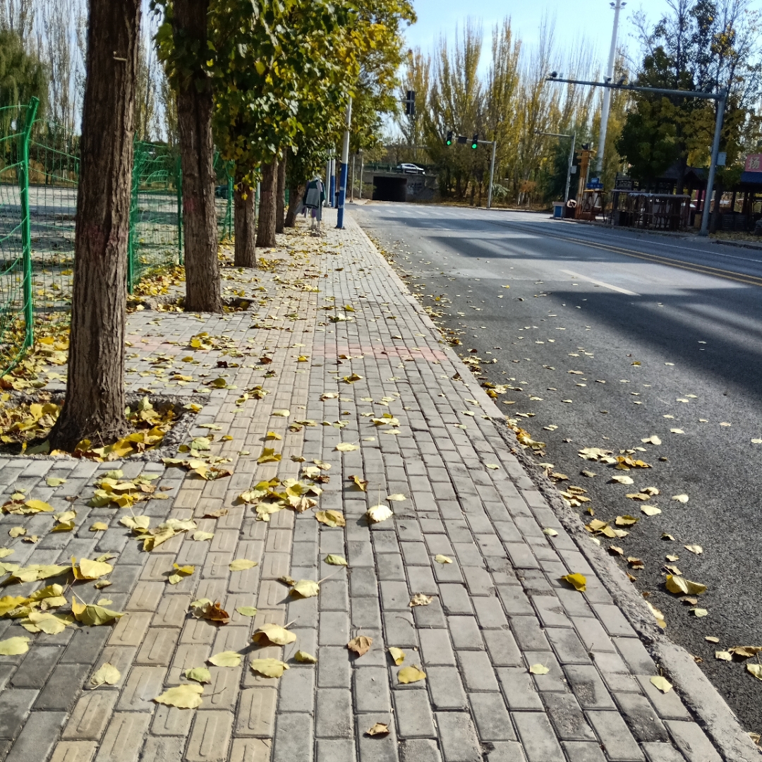 rlopezcorp's tweet image. Autumn breeze + golden sunsets = perfect evening walks  #FallVibes