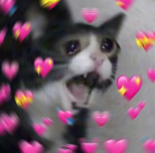 BlueBlurBoy tweet media