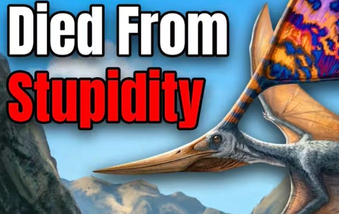 🇦🇷 Franco tweet media