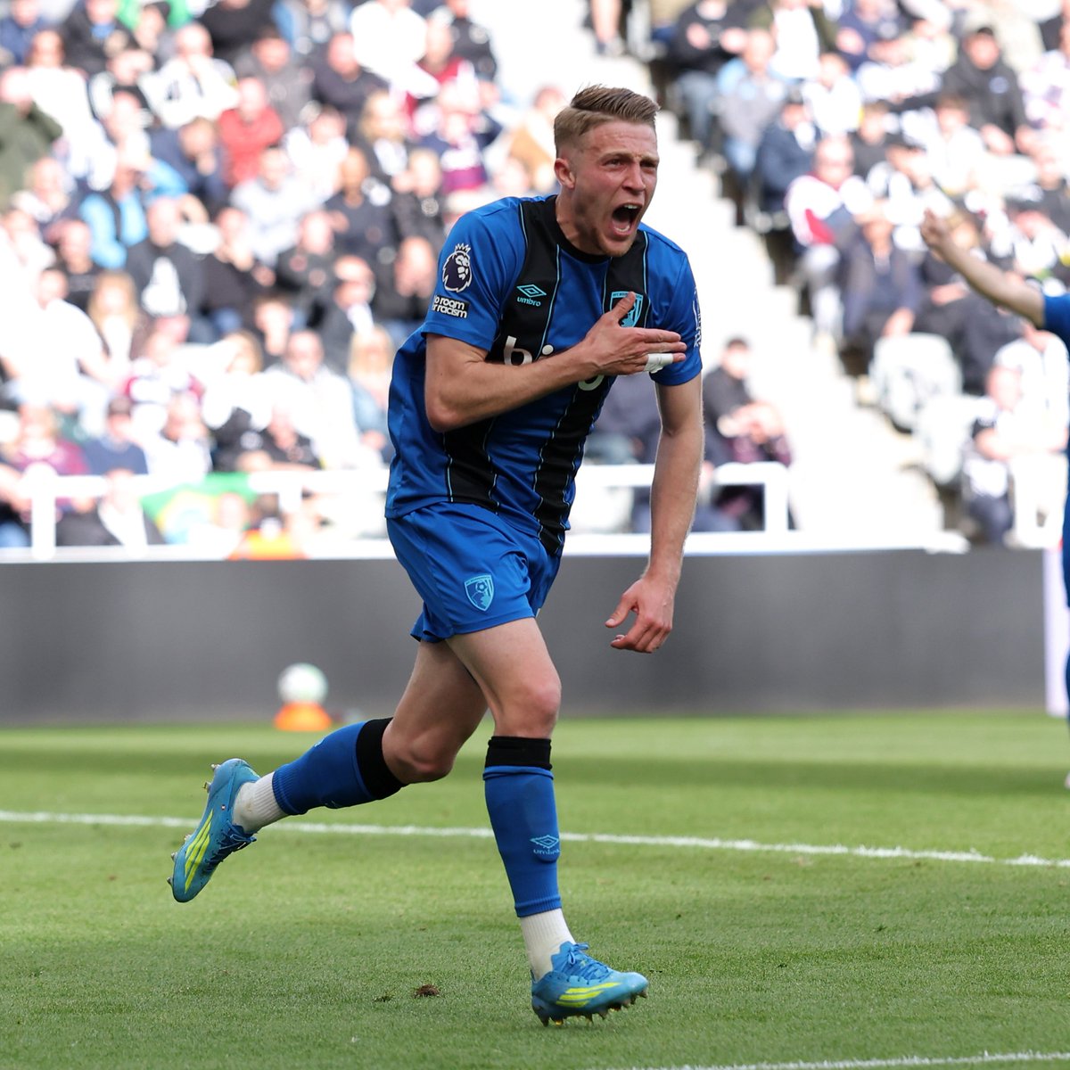 AFC Bournemouth 🍒 tweet media